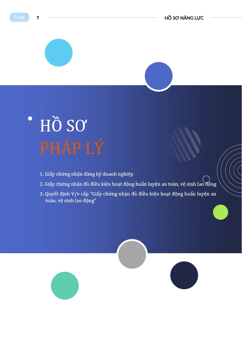 Hồ sơ năng lực công ty - Trang 7